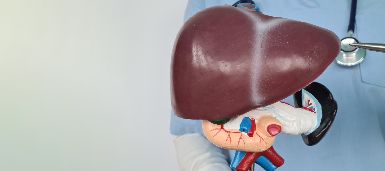 How much is the Liver Transplant Surgery Cost in Pune, India?