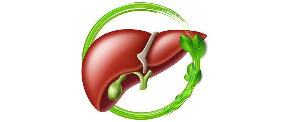 How To Keep Your Liver Healthy?