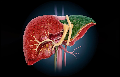 What is the First Sign of Liver Cancer?