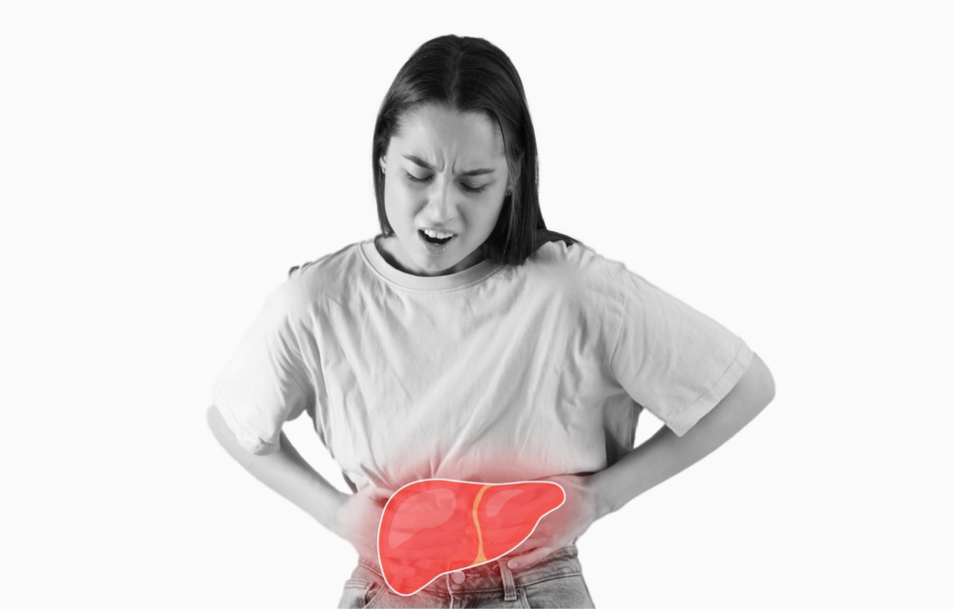 What Is The Role Of The Liver In Digestion And Metabolism?