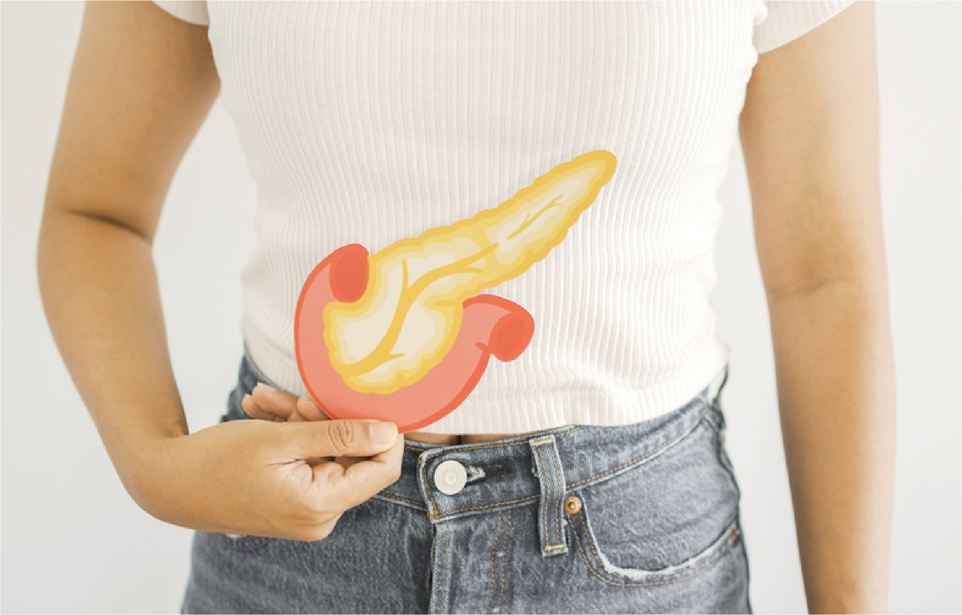 Pancreas Function And Symptoms Of Pancreas Problems