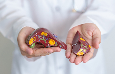 How To Choose The Best Hospital For Liver Transplant In Pune?