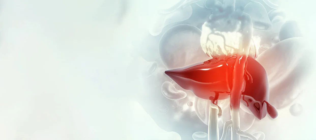 Is Liver Cancer Diagnosed? Tests And Procedures ExplainedHow