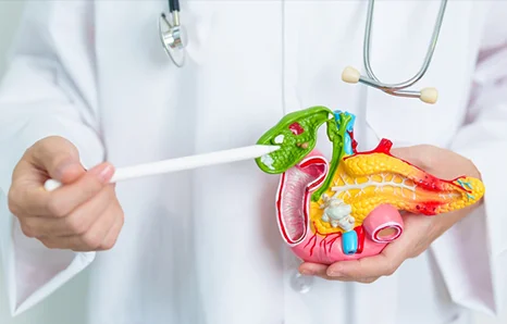 Bile Duct Cancer: Symptoms, Risk Factors, Diagnosis, and Treatment