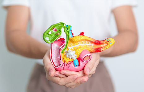 Specialized Hepato Pancreato Biliary Surgery in Lucknow