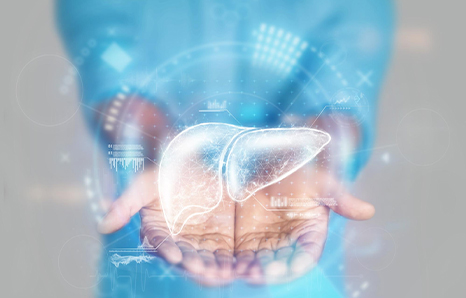 Liver Transplant Success Rate: Survival Rates, Recovery & Factors That Affect Outcomes